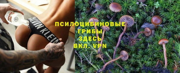 ешки Красноперекопск
