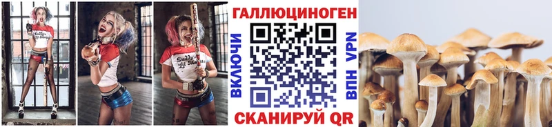 Псилоцибиновые грибы Psilocybine cubensis Купить где Княгинино